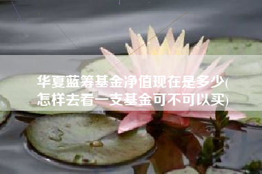 华夏蓝筹基金净值现在是多少(
怎样去看一支基金可不可以买)