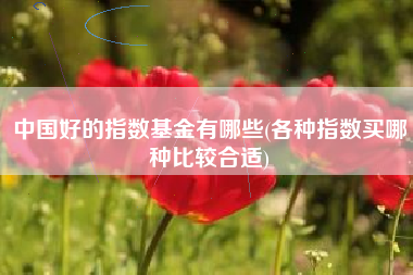 中国好的指数基金有哪些(各种指数买哪种比较合适)