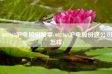 002463沪电股份股票(002463沪电股份这公司怎样)