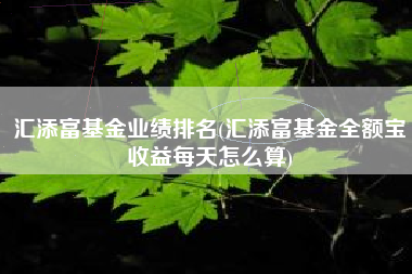 汇添富基金业绩排名(汇添富基金全额宝收益每天怎么算)