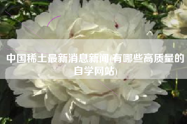 中国稀土最新消息新闻(有哪些高质量的自学网站)