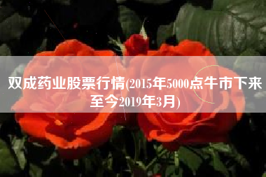 双成药业股票行情(2015年5000点牛市下来至今2019年3月)