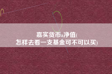 嘉实货币a净值(
怎样去看一支基金可不可以买)