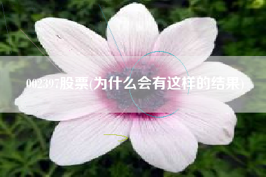002397股票(为什么会有这样的结果)