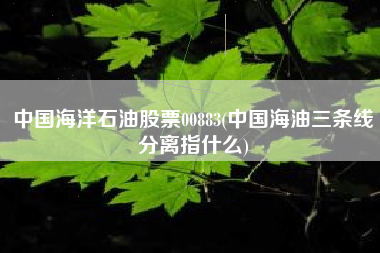 中国海洋石油股票00883(中国海油三条线分离指什么)