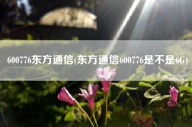 600776东方通信(东方通信600776是不是6G)