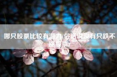 哪只股票比较有潜力(俗话说没有只跌不涨股票)