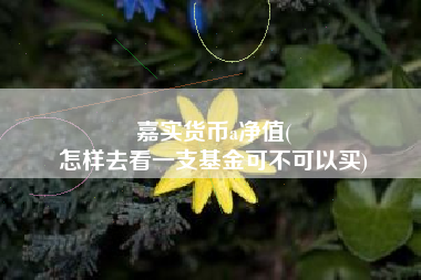 嘉实货币a净值(
怎样去看一支基金可不可以买)