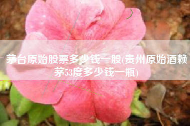 茅台原始股票多少钱一股(贵州原始酒赖茅53度多少钱一瓶)