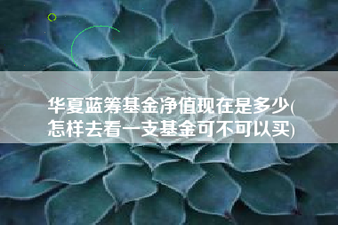 华夏蓝筹基金净值现在是多少(
怎样去看一支基金可不可以买)