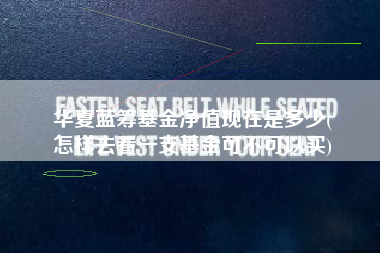 华夏蓝筹基金净值现在是多少(
怎样去看一支基金可不可以买)