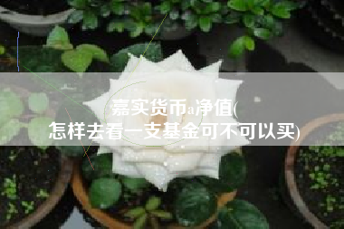 嘉实货币a净值(
怎样去看一支基金可不可以买)