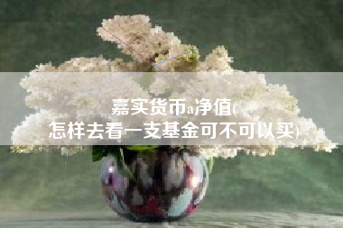 嘉实货币a净值(
怎样去看一支基金可不可以买)