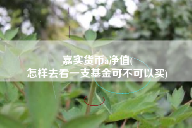 嘉实货币a净值(
怎样去看一支基金可不可以买)