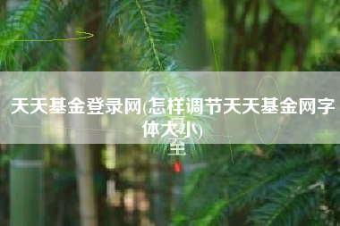天天基金登录网(怎样调节天天基金网字体大小)