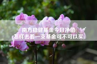 南方稳健基金今日净值(
怎样去看一支基金可不可以买)