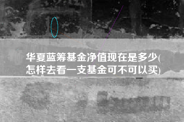 华夏蓝筹基金净值现在是多少(
怎样去看一支基金可不可以买)