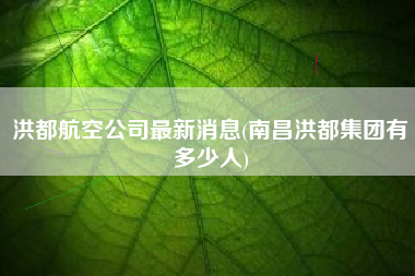 洪都航空公司最新消息(南昌洪都集团有多少人)
