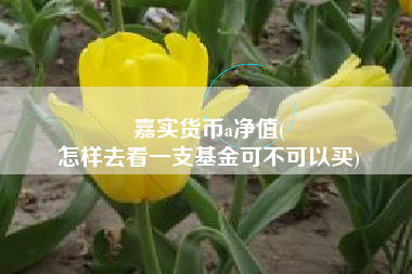 嘉实货币a净值(
怎样去看一支基金可不可以买)