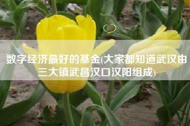 数字经济最好的基金(大家都知道武汉由三大镇武昌汉口汉阳组成)