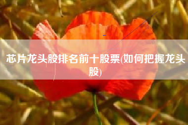 芯片龙头股排名前十股票(如何把握龙头股)