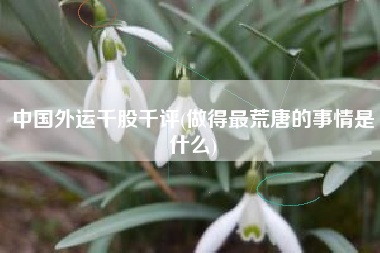 中国外运千股千评(做得最荒唐的事情是什么)