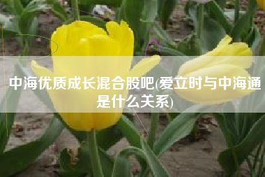 中海优质成长混合股吧(爱立时与中海通是什么关系)