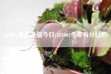481001基金净值今日(481001今年有分红吗)