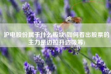 沪电股份属于什么板块(如何看出股票的主力是边拉升边吸筹)