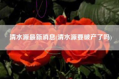 清水源最新消息(清水源要破产了吗)
