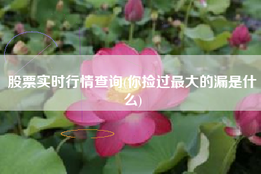 股票实时行情查询(你捡过最大的漏是什么)