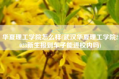 华夏理工学院怎么样(武汉华夏理工学院2023新生报到车子能进校内吗)
