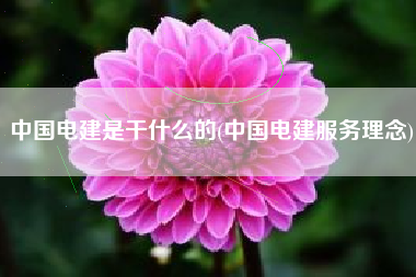 中国电建是干什么的(中国电建服务理念)