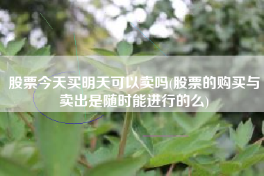 股票今天买明天可以卖吗(股票的购买与卖出是随时能进行的么)