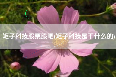 矩子科技股票股吧(矩子科技是干什么的)