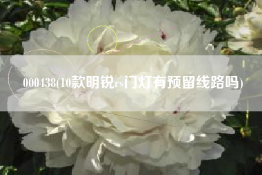 000438(10款明锐rs门灯有预留线路吗)