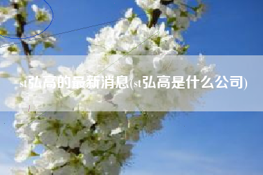 st弘高的最新消息(st弘高是什么公司)