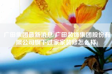 广田集团最新消息(广田装饰集团股份有限公司旗下过家家装修怎么样)
