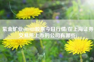 紫金矿业601988股票今日行情(在上海证券交易所上市的公司有哪些)