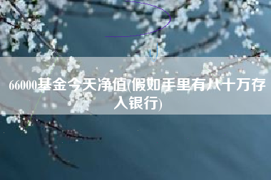 66000基金今天净值(假如手里有八十万存入银行)