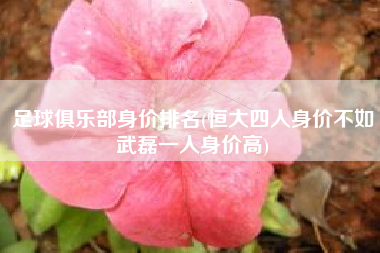 足球俱乐部身价排名(恒大四人身价不如武磊一人身价高)
