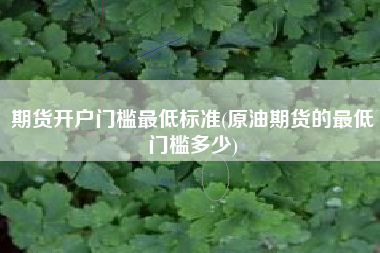 期货开户门槛最低标准(原油期货的最低门槛多少)