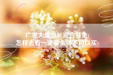 广发大盘成长混合基金(
怎样去看一支基金可不可以买) 广发大盘成长混合基金(
怎样去看一支基金可不可以买)