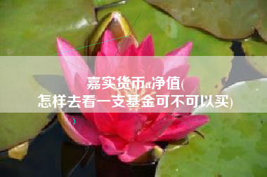 嘉实货币a净值(
怎样去看一支基金可不可以买)