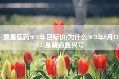 复星医药2023年目标价(为什么2023年8月13G34是普通复兴号
) 复星医药2023年目标价(为什么2023年8月13G34是普通复兴号
)