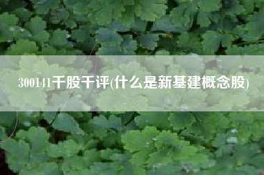 300141千股千评(什么是新基建概念股)