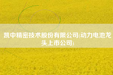 凯中精密技术股份有限公司(动力电池龙头上市公司)