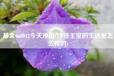 基金660012今天净值(沙特王室的生活是怎么样的)