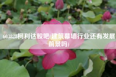 详细阅读:603828柯利达股吧(建筑幕墙行业还有发展前景吗) 603828柯利达股吧(建筑幕墙行业还有发展前景吗)