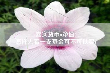 嘉实货币a净值(
怎样去看一支基金可不可以买)